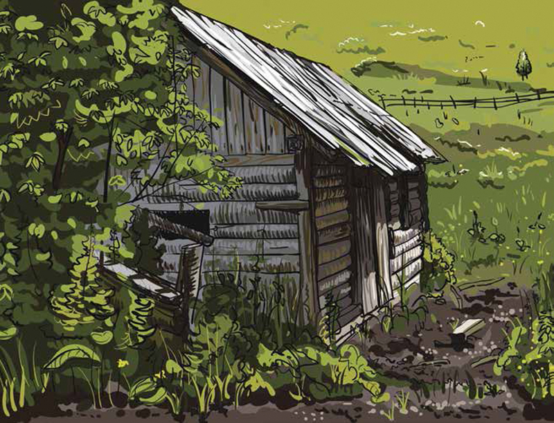 We Learned A Lot When We Established Our Small Farm